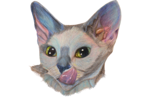 gelf